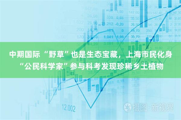 中期国际 “野草”也是生态宝藏，上海市民化身“公民科学家”参与科考发现珍稀乡土植物