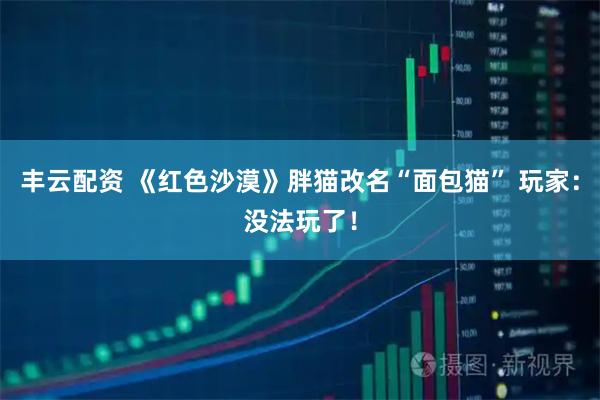 丰云配资 《红色沙漠》胖猫改名“面包猫” 玩家：没法玩了！